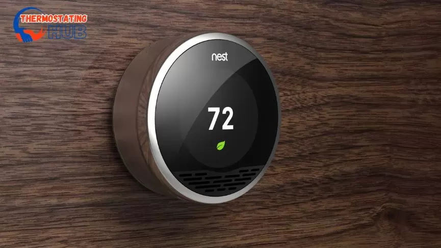 Why Is My Nest Thermostat Buzzing?