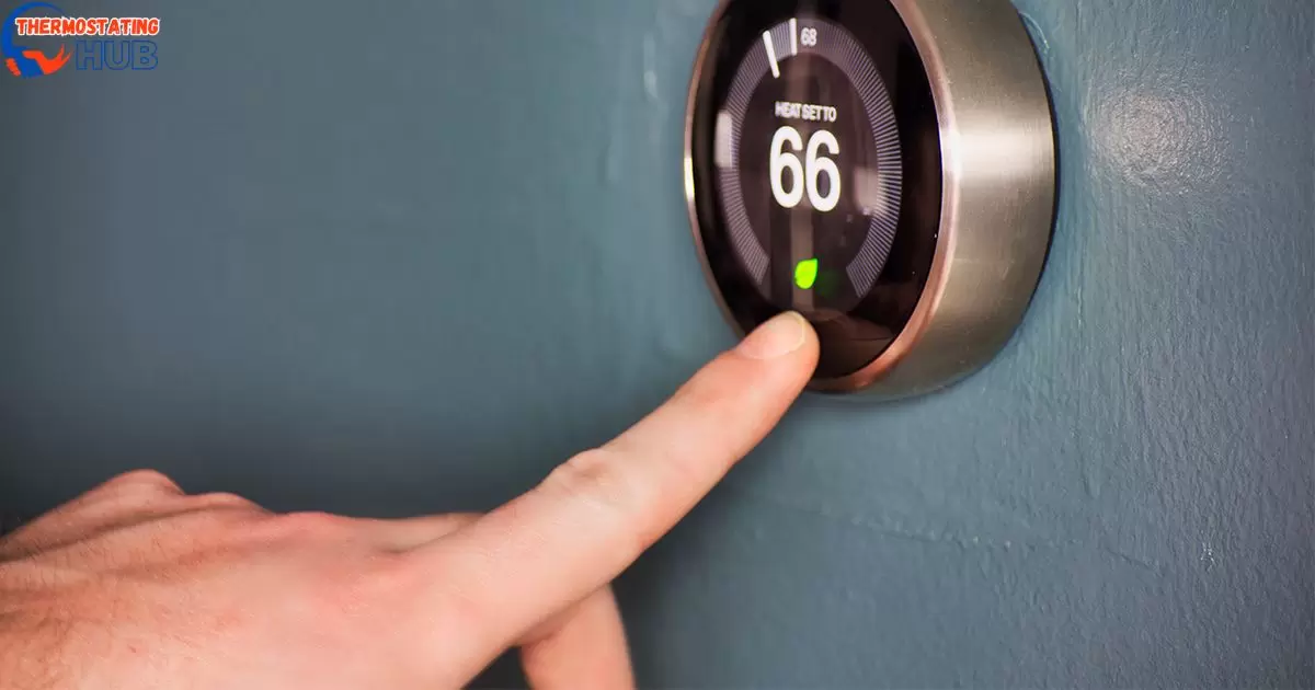 Should You Go For Nest Dual Fuel or Single Fuel?