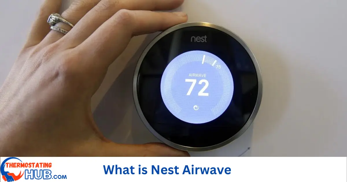 What is Nest Airwave