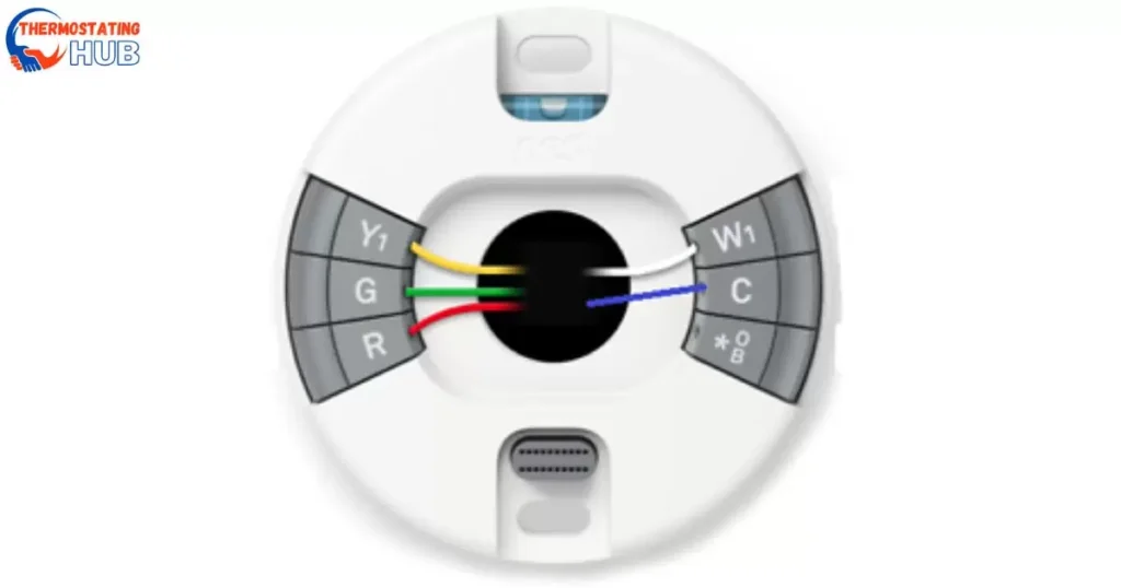 Where does the blue wire go on a Nest thermostat?